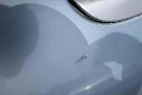 Audi A4 8E B6 Limousine Stoßstange hinten mit Spoiler blau LY7R (181469)