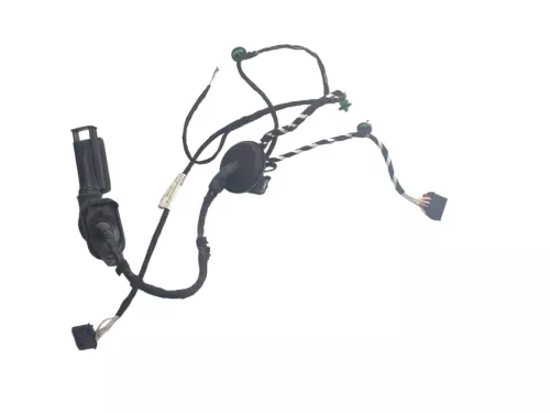 Passat 3C B8 3G Kabelbaum Tür Türkabelbaum hint rechts Leitungssatz 3G0971694H/F
