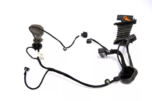 VW Passat 3C Kabelbaum Tür Türkabelbaum ZV hinten links 3C4971693FR (183418)
