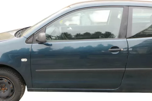 VW Polo 9N 9N3 Tür vorne links Fahrertür 2/3-Türer grün LC6X -ohne Anbauteile