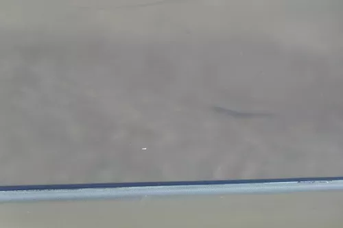 Sharan 7M Seat Alhambra Tür links hinten blau LA5G ab Bj.2000 Facelift ohne Anba (183720)