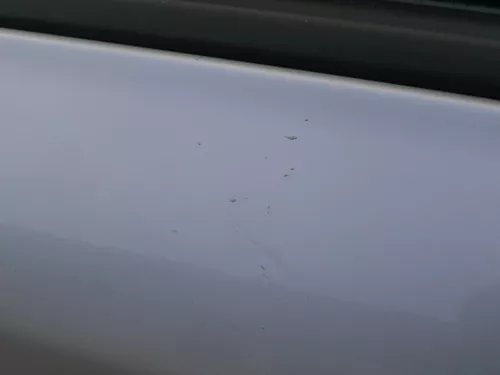 Skoda Octavia 1U Kombi  +Limo Tür vorne rechts Beifahrertür grau silber LF7T (184303)