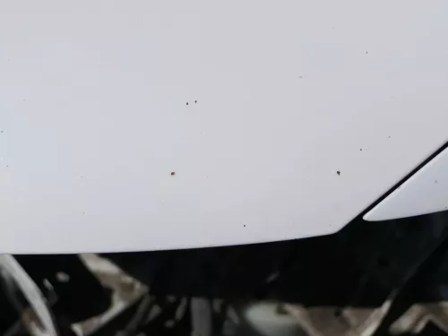 VW Polo 6R 6C Motorhaube Klappe vorn vorne weiß LB9A  - DELLE Knick Bilder! (184493)
