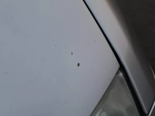Skoda Fabia 6Y Motorhaube Klappe vorne silber LF7T vorn     (OHNEgrill!) (184846)