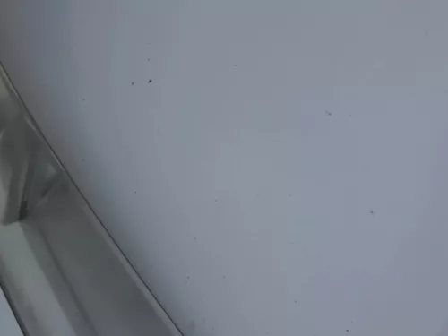 Skoda Fabia 6Y Motorhaube Klappe vorne silber LF7T vorn     (OHNEgrill!) (184846)