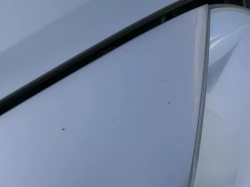 Skoda Octavia 1Z Kotflügel vorne rechts auch Kombi LF8H Cappuccino Beige (185765)