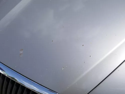 Skoda Octavia 1Z Motorhaube Haube Klappe vorne Cappuccino Beige LF8H mit Grill (185766)