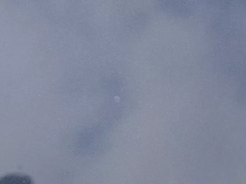 VW Golf 5 V 1K5 Jetta 1K2 Motorhaube Haube Klappe vorne blau LC5F (186016)