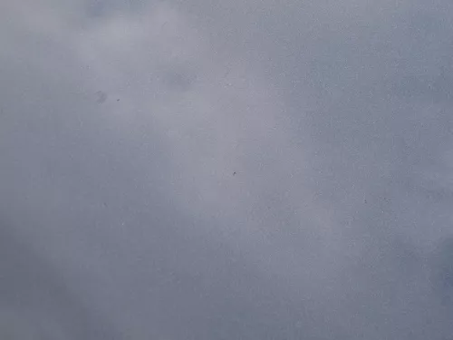 VW Golf 5 V 1K5 Jetta 1K2 Motorhaube Haube Klappe vorne blau LC5F (186016)