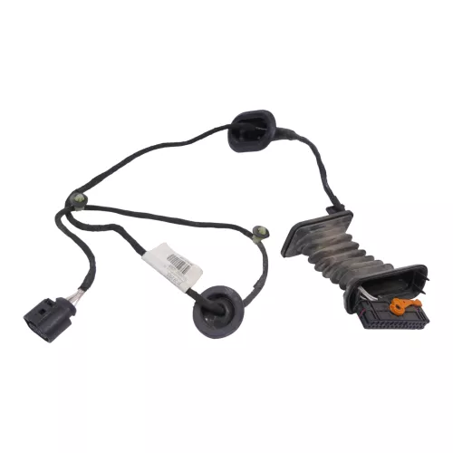 VW Passat 3C Kabelbaum Tür Türkabelbaum ZV hinten links 3C4971693GE