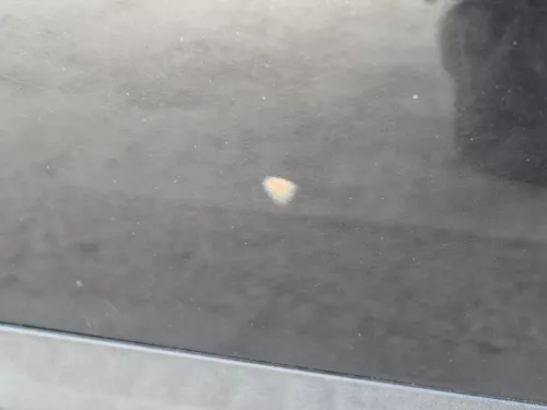 VW Passat 3C Kombi Variant Tür hinten links schwarz LC9X -OHNE Anbauteile (186478)