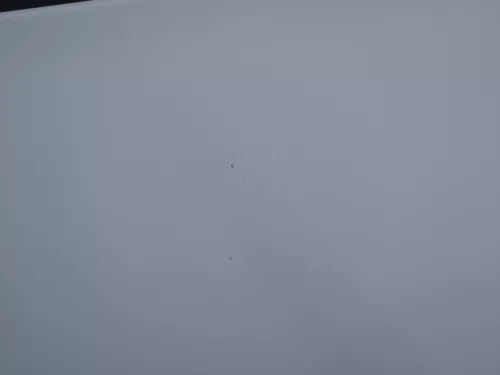 VW T5 Multivan Motorhaube Haube Klappe vorne weiß R902 (186889)