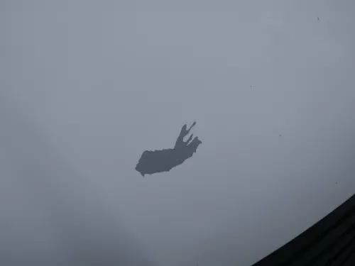 VW T5 Multivan Motorhaube Haube Klappe vorne weiß R902 (186889)