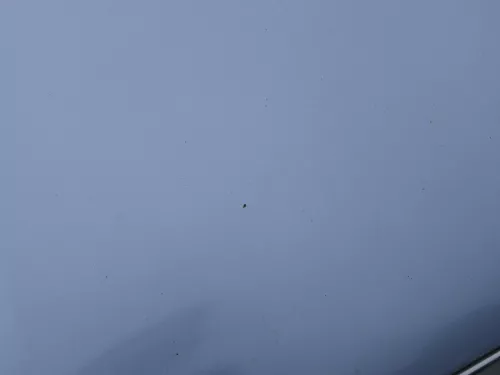 Skoda Fabia 5J Roomster Motorhaube Haube Klappe vorne blau LF5Y (187351)