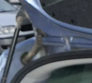 Skdoa Roomster 5J Kabelbaum hinten für Heckklappe (187366)