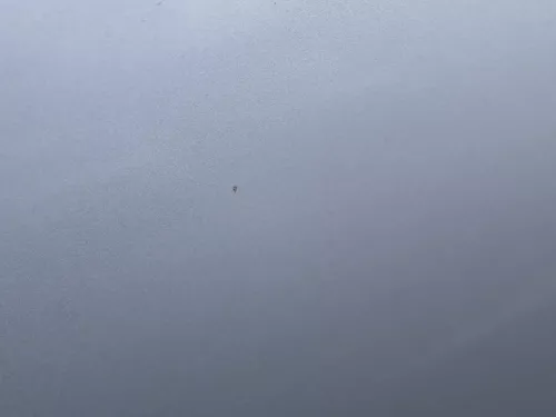 VW Golf 4 Bora Tür vorne links Fahrertür 4/5-Türer & Kombi silber LA7W -ohneAnba (200815)