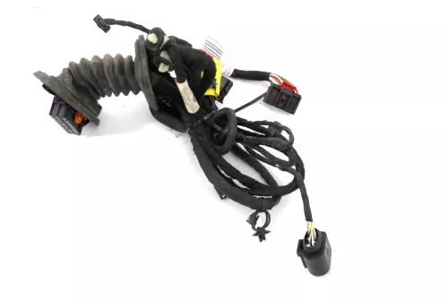 VW Passat 3C Kabelbaum Tür Türkabelbaum ZV vorne links Leitungssatz 3C1971120BR (155977)