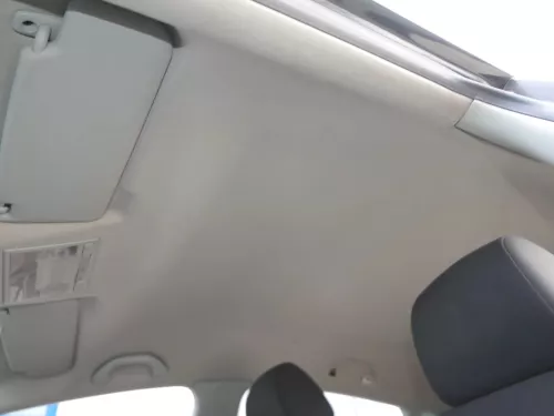 Seat Leon 1P Himmel Innenraum Decke Dachhimmel Dach oben grau-ohne Anbauteile (201469)