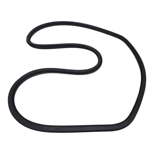 1x Leon 1P Türdichtung Dichtung Tür hinten links oder rechts Fahrertür 4/5-Türer (201470)