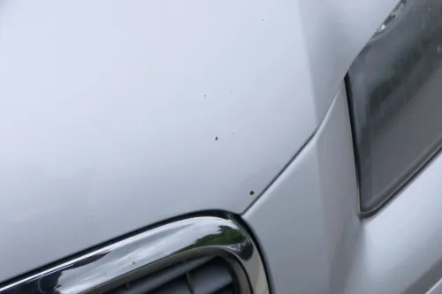 A3 8P 4/5-Türer Motorhaube Haube Klappe vorn vorne grau LX7W silber Sportback (202420)